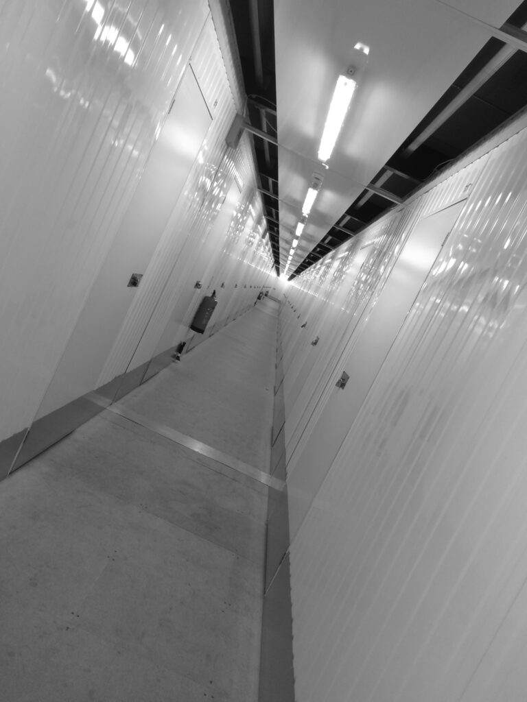 Choose Your Destiny Clip - corridor