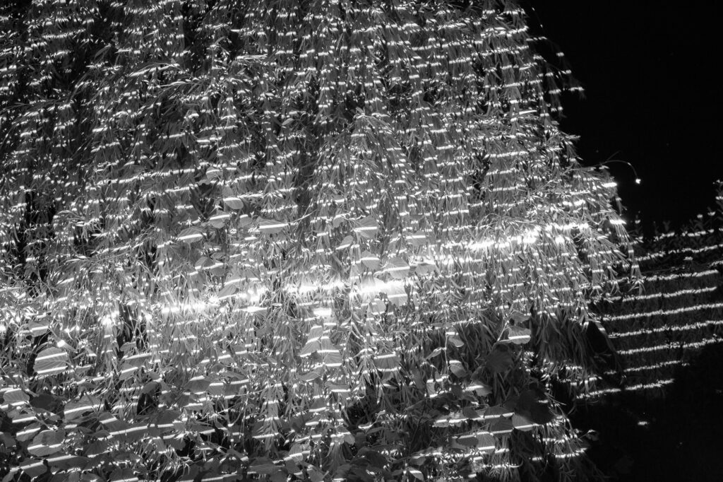 The encounter of water and light : first experimentation by Ctrl-Z
Photo by Niko Magnus