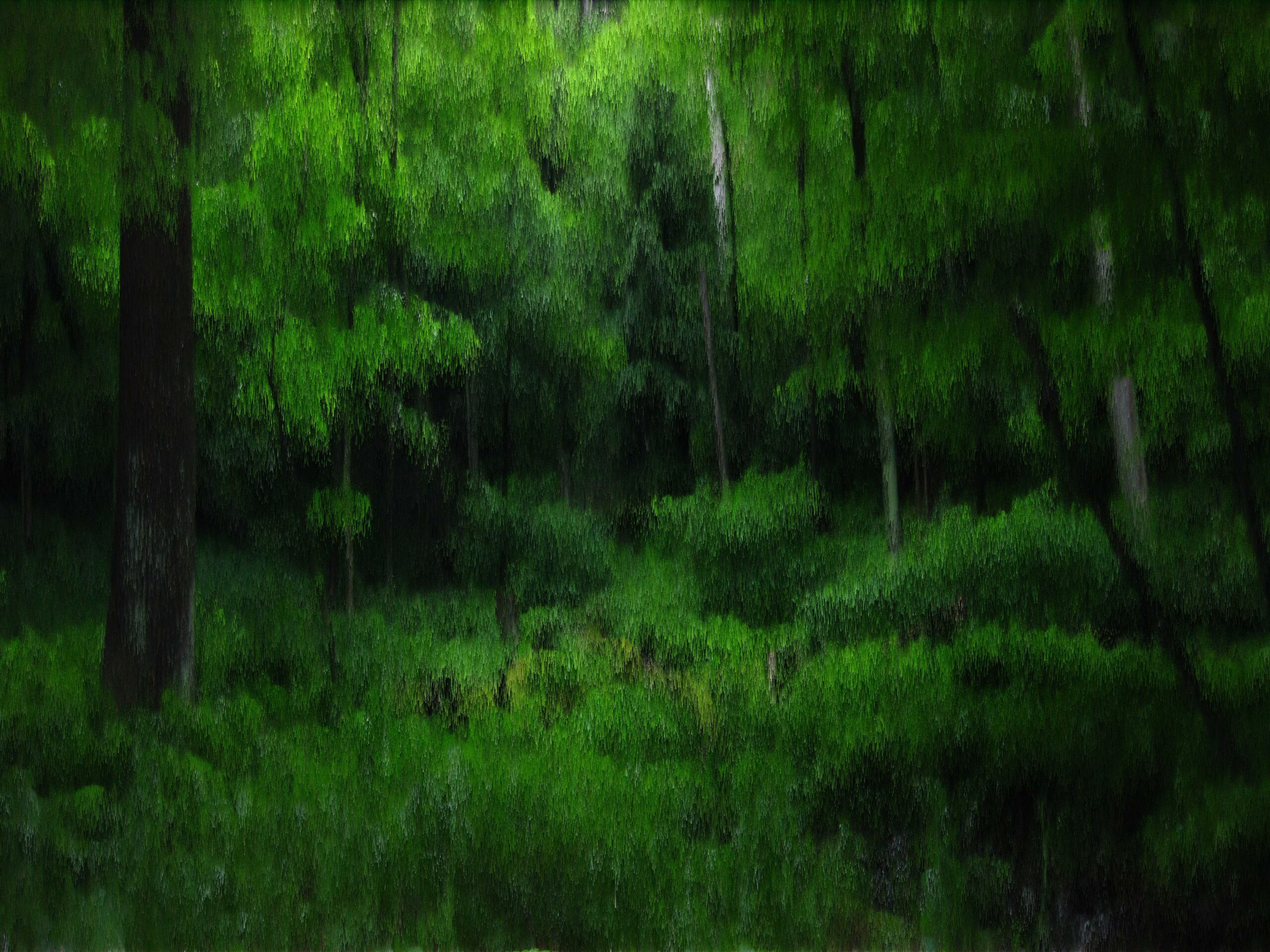 Forest pixel sorting manipulation